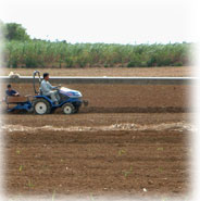 �T�g�E�L�r��