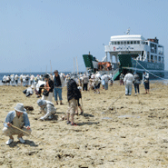 ���d����