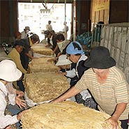 �t�^�o�R�̔�������