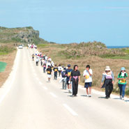 �^�[�g���}���\��