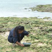 �A�[�T���