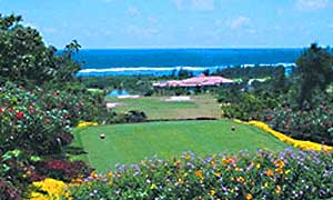 �V�M���x�C�J���g���[�N���u