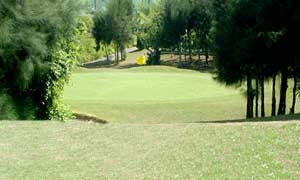 �������S���t�N���u